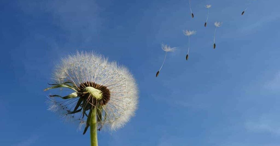 Il coraggio di cambiare vita