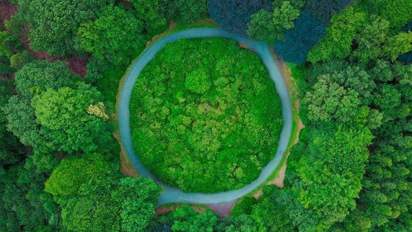 Rapporto Istat: l’economia italiana è sempre più green Rapporto Istat: l’economia italiana è sempre più green