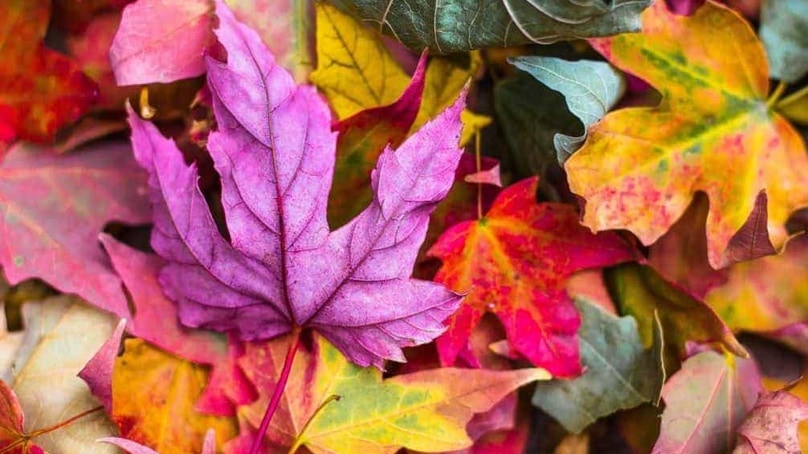 Tornare al lavoro con una lista di buoni propositi per l’autunno Tornare al lavoro con una lista di buoni propositi per l’autunno